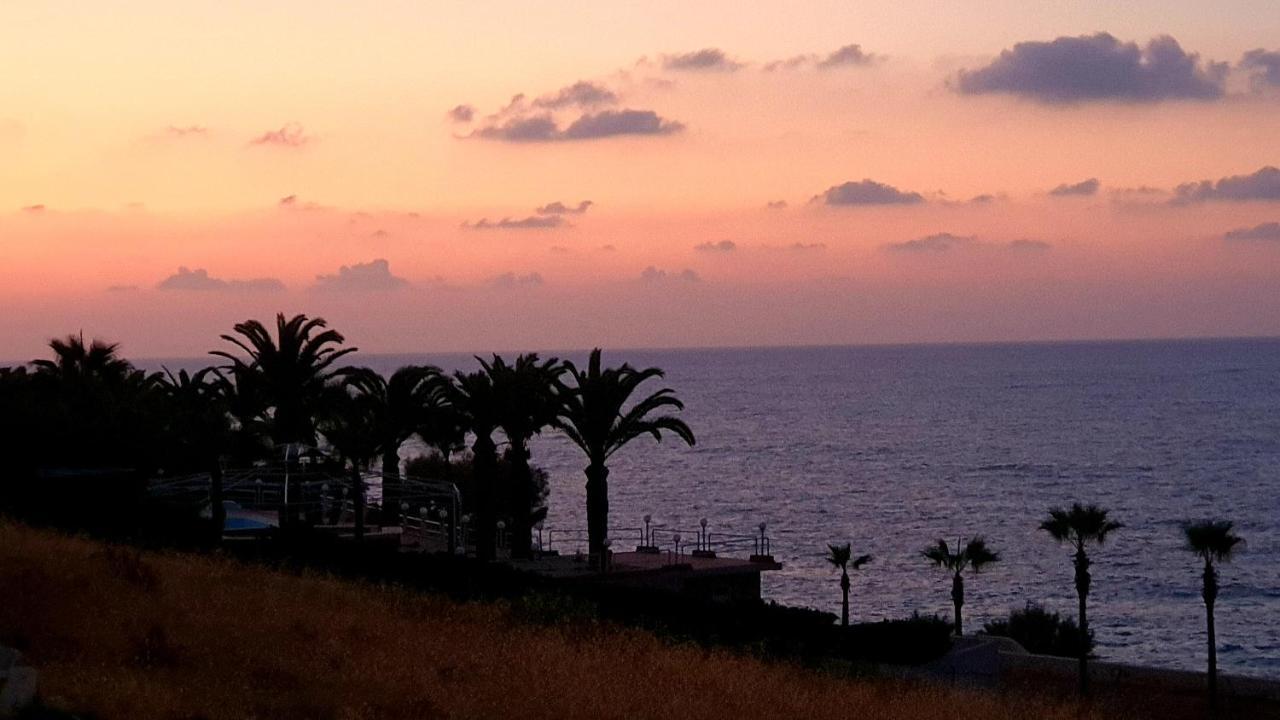 Stella Beach Hotel (Adults Only) Panormos  Exterior photo